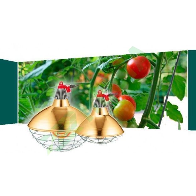 Picture of Lampa infrarosu carbon 600-1500W