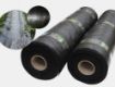 folie agrotextil ieftina de coreea 80 gr mp
