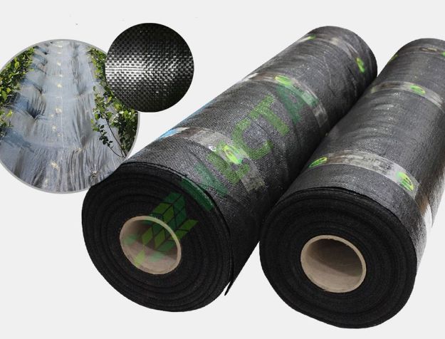 folie agrotextil ieftina de coreea 80 gr mp