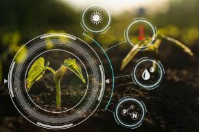 Picture for category Componente Solarii