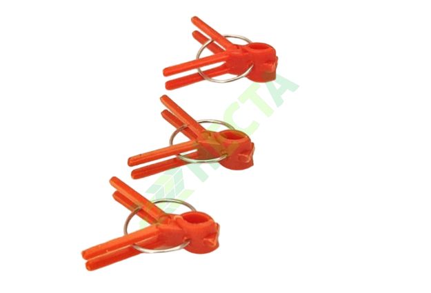clips altoire tomate rosii vinete  pepeni